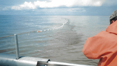 Alaska Fishing Photo